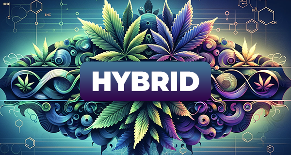 Hybrid